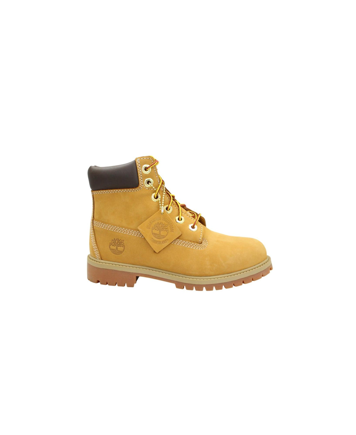 gid://shopify/Product/16123666694476_1