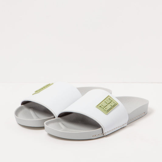 gid://shopify/Product/15693622444364_2