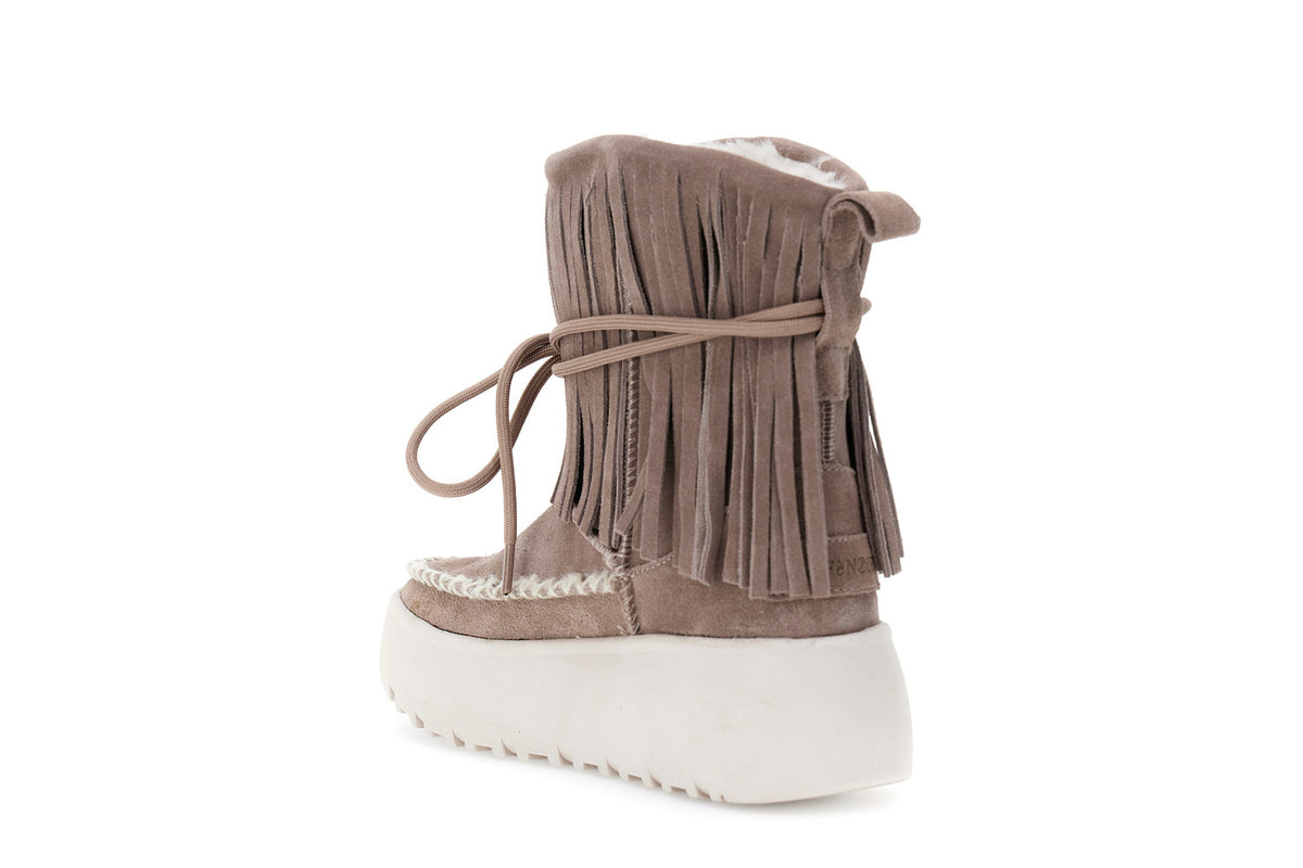 gid://shopify/Product/16175951184204_2