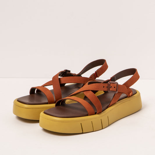 gid://shopify/Product/16172063359308_2