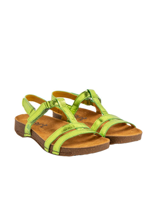gid://shopify/Product/15785676079436_2