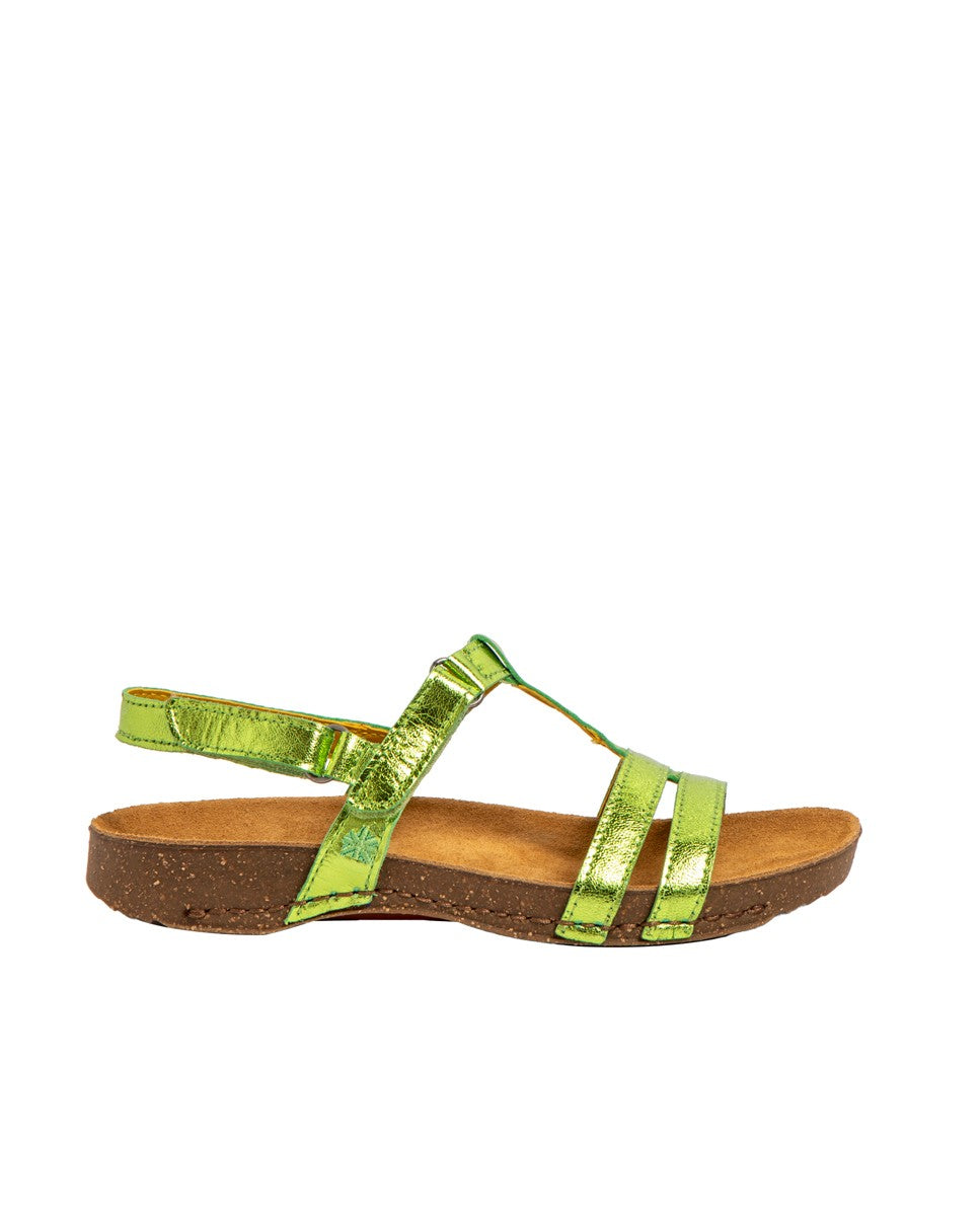 gid://shopify/Product/15785676079436_1
