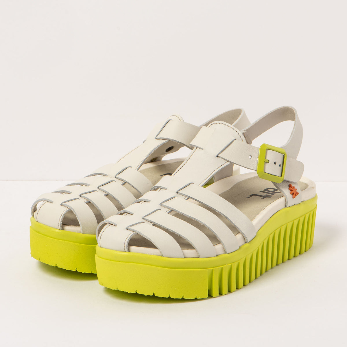gid://shopify/Product/16171333452108_5