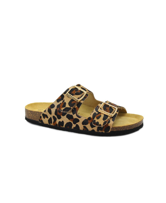 gid://shopify/Product/15738507034956_1