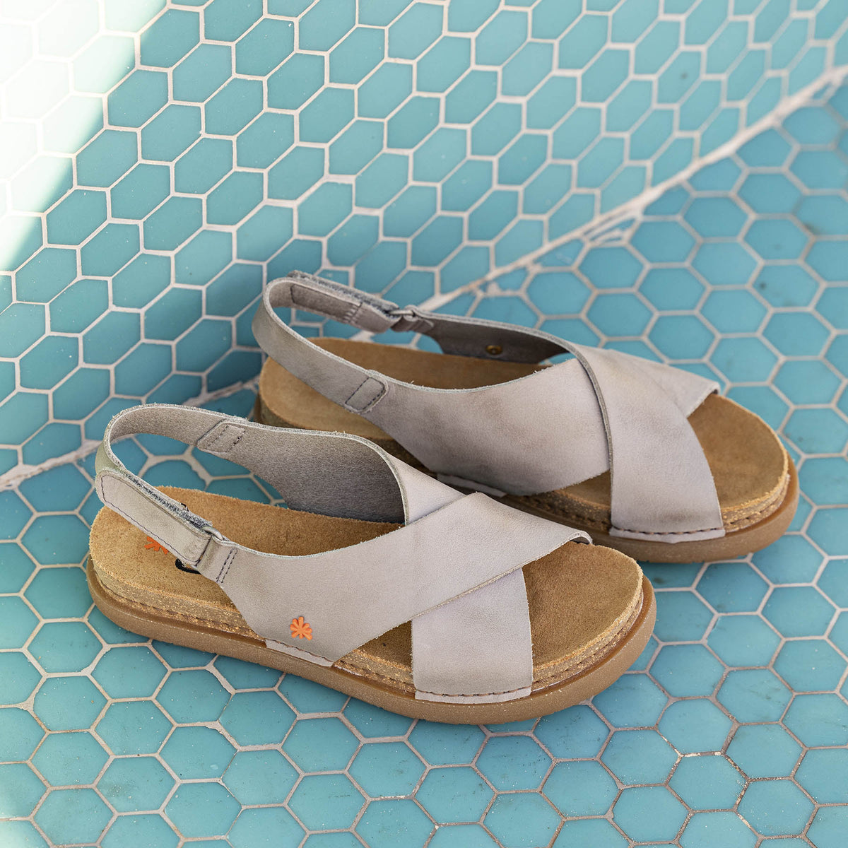 gid://shopify/Product/16172959072588_7