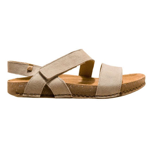 gid://shopify/Product/15700061356364_1