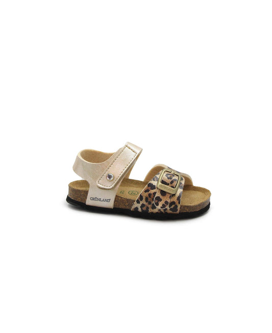 gid://shopify/Product/15738563723596_1