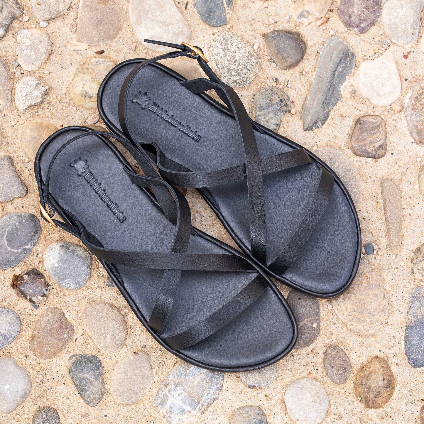 gid://shopify/Product/15700474036556_7