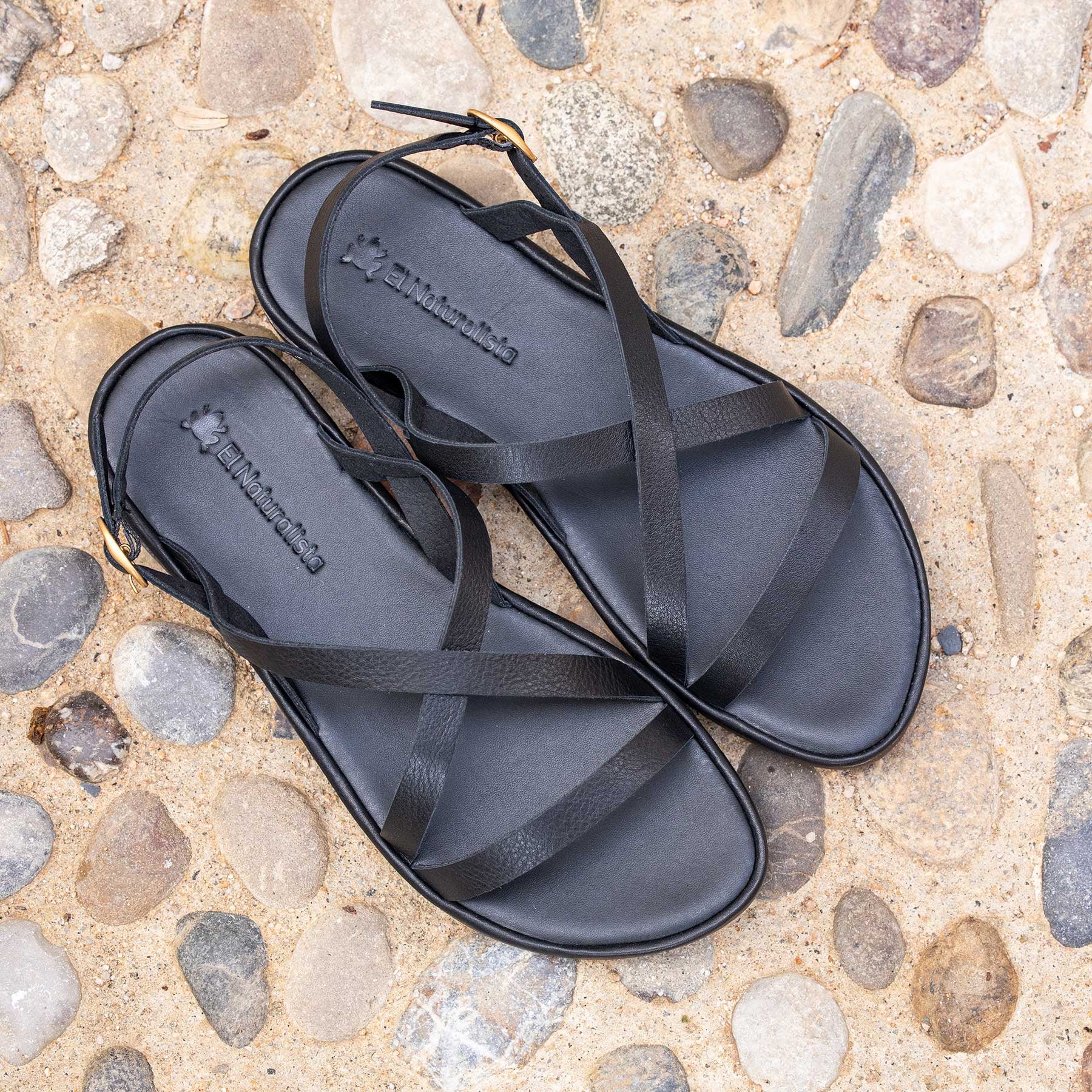 gid://shopify/Product/15700474036556_7