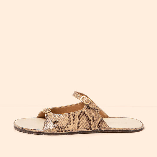 gid://shopify/Product/16124719661388_1