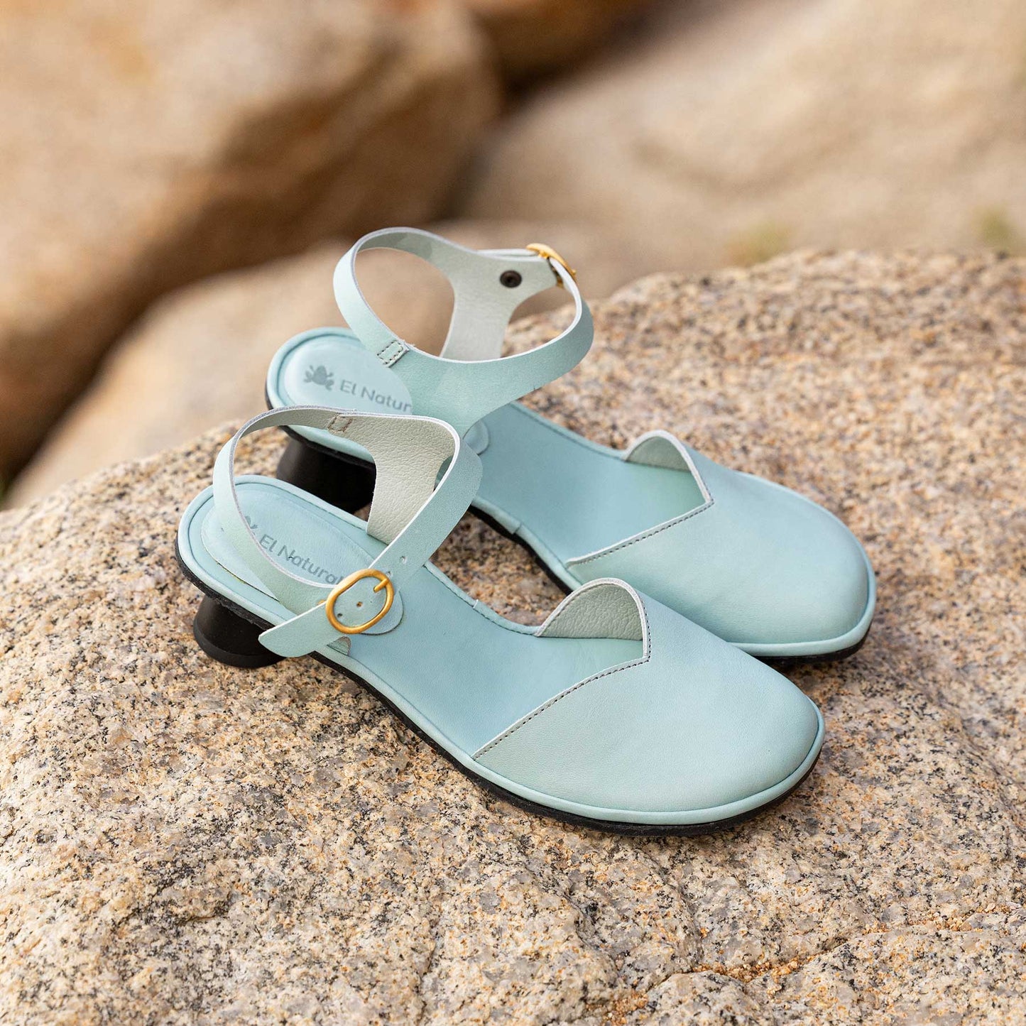 gid://shopify/Product/15700742439244_2
