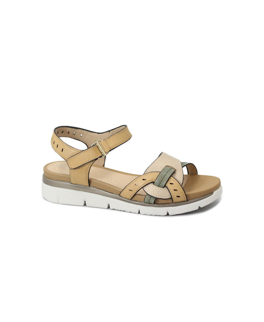 gid://shopify/Product/15737648218444_1