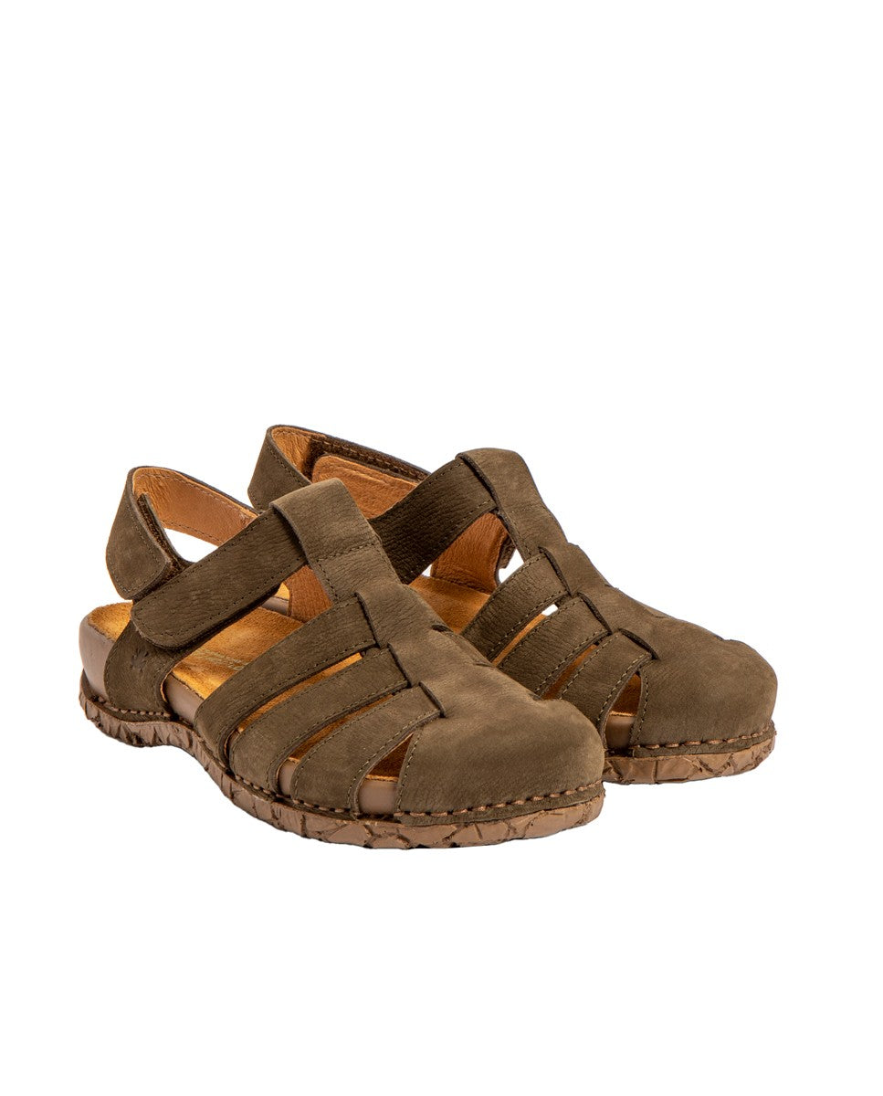 gid://shopify/Product/15700130234700_2