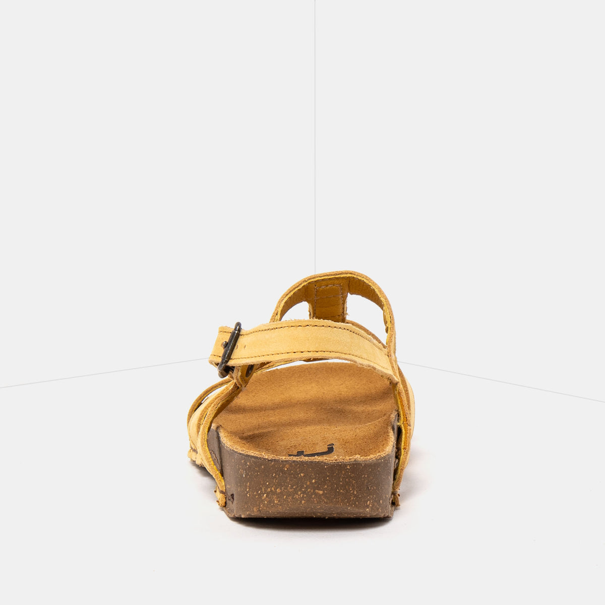 gid://shopify/Product/16172864569676_5