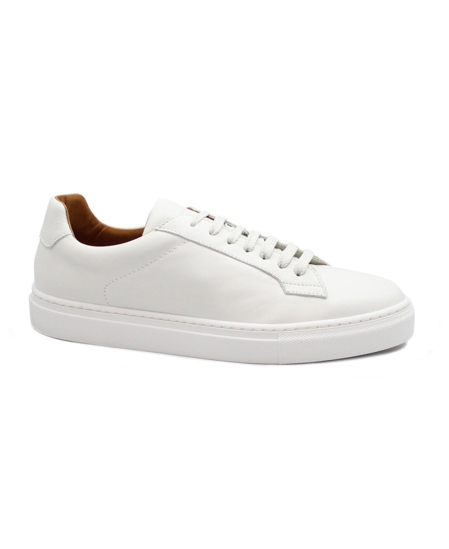 gid://shopify/Product/15738254623052_1