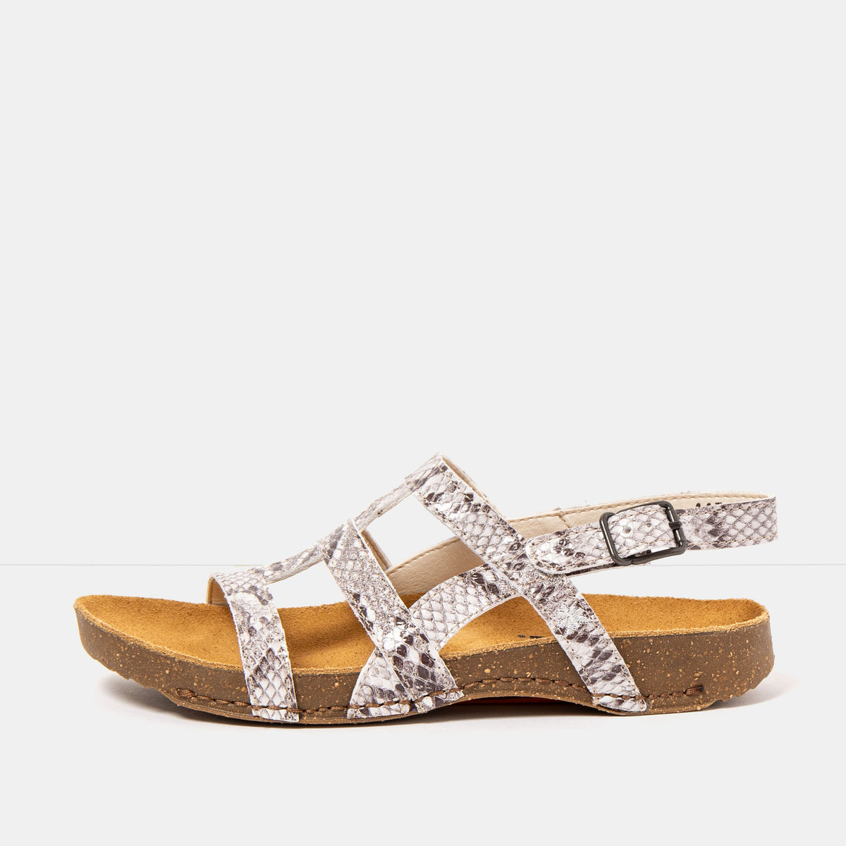 gid://shopify/Product/16172868927820_1