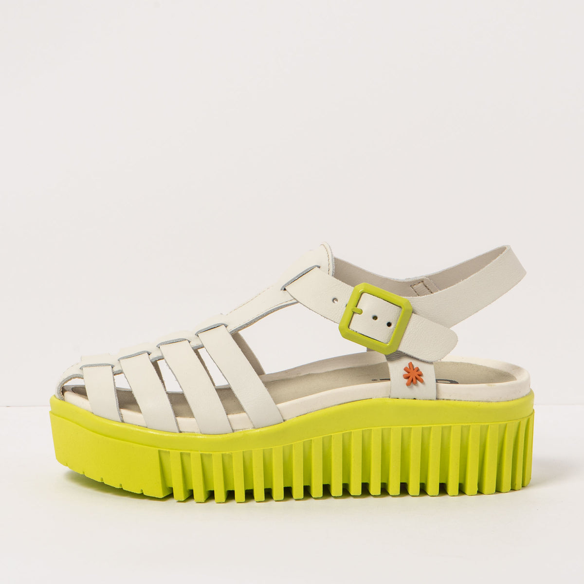 gid://shopify/Product/16171333452108_4