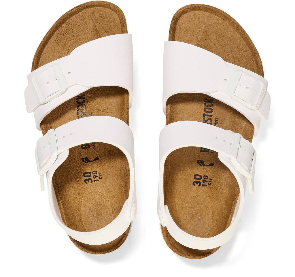 gid://shopify/Product/15943363264844_2