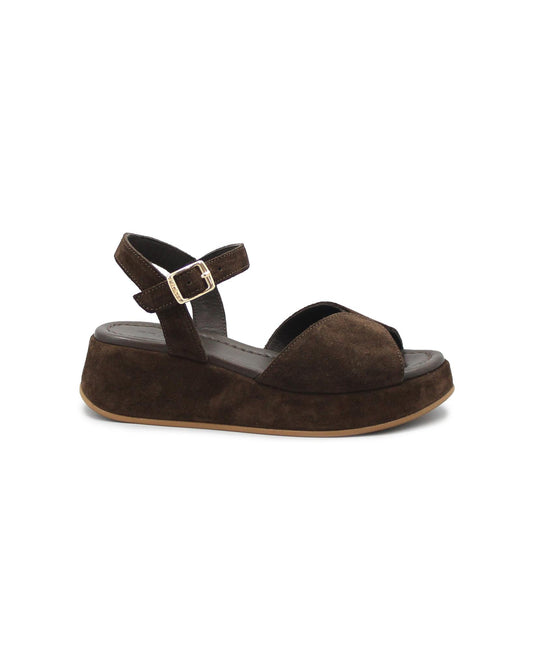 gid://shopify/Product/15738559398220_1