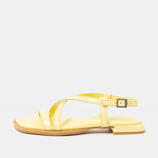 gid://shopify/Product/16173043876172_1