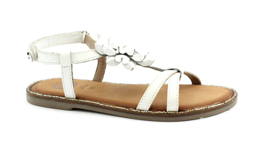 gid://shopify/Product/15739035713868_1