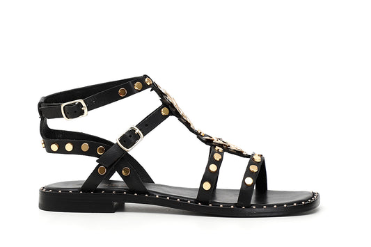 gid://shopify/Product/15782494798156_57658350895436