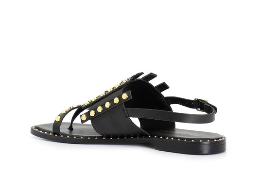 gid://shopify/Product/15782497419596_2