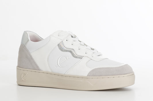 gid://shopify/Product/16035456811340_58579191595340