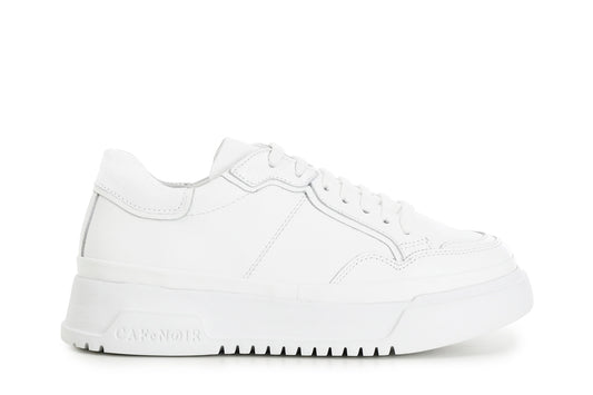 gid://shopify/Product/15782693896524_57659290124620