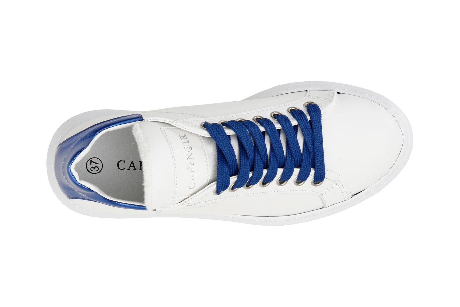 gid://shopify/Product/15782499156300_3