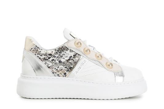 gid://shopify/Product/15782695043404_1