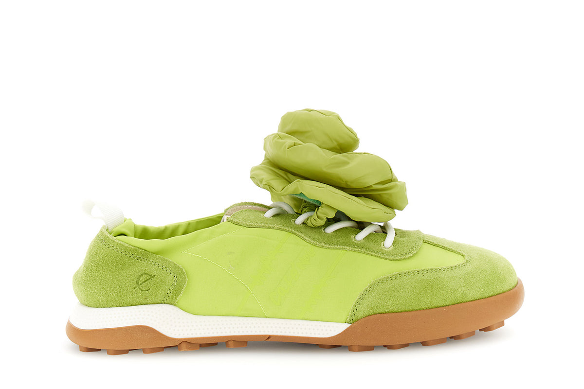 gid://shopify/Product/16122223329612_58875606008140