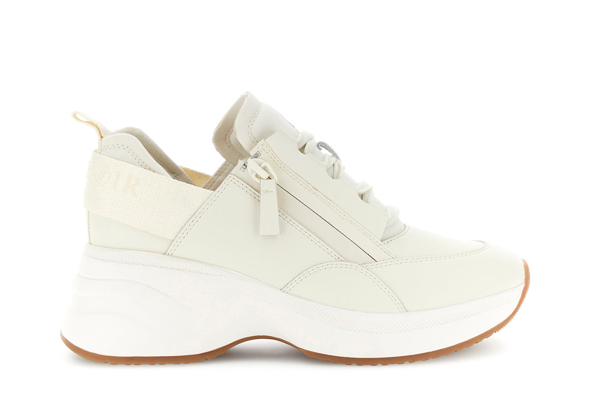 gid://shopify/Product/16122228310348_58875642446156