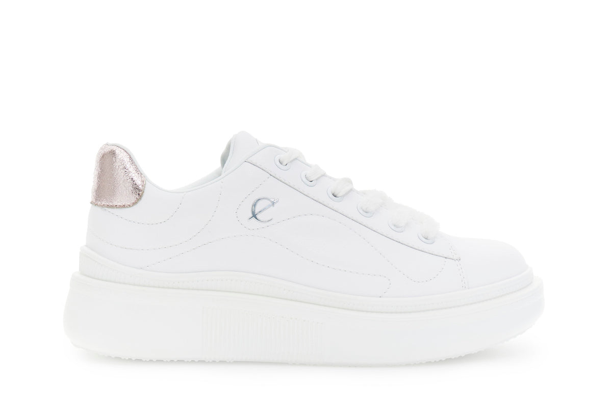 gid://shopify/Product/16175932277068_59121205117260