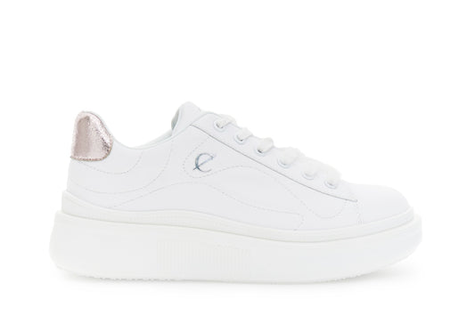 gid://shopify/Product/16175932277068_59121205117260