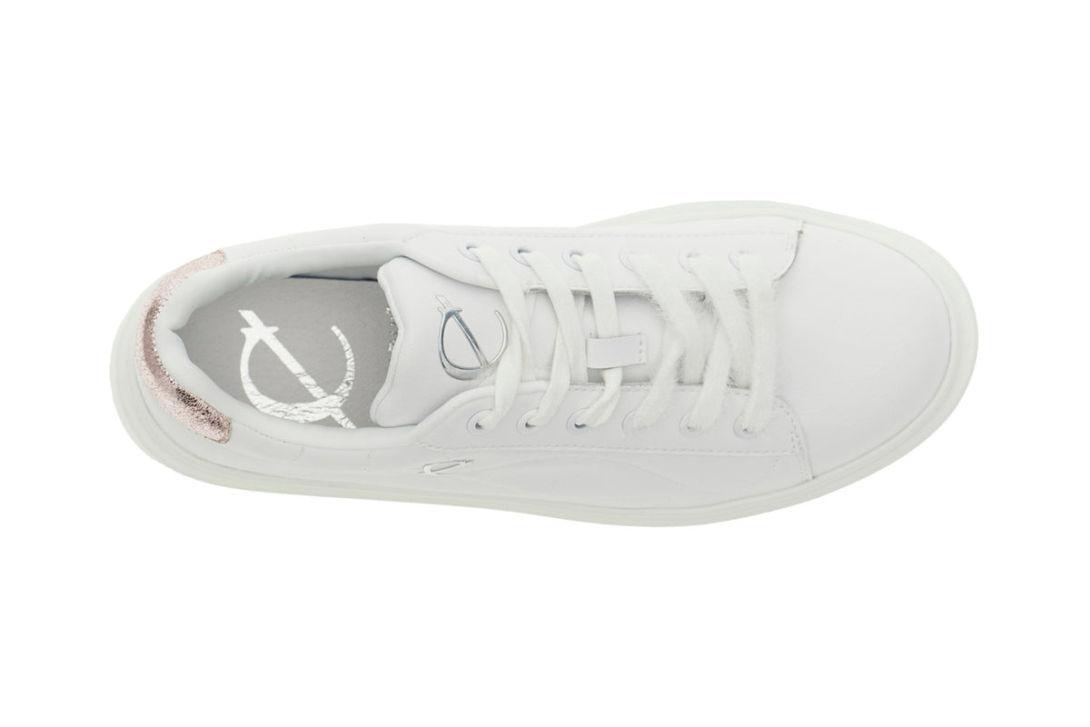 gid://shopify/Product/16175932277068_3