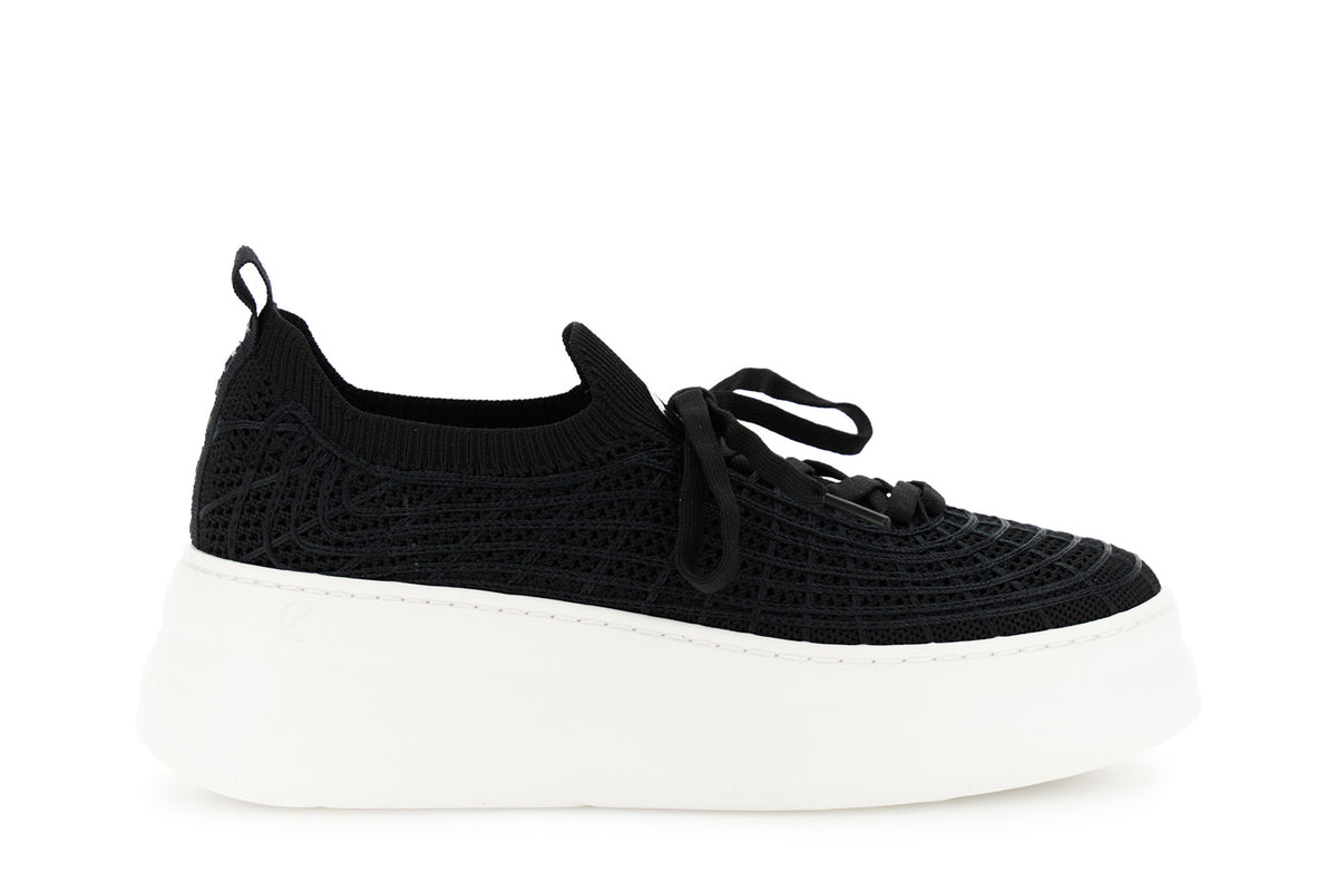 gid://shopify/Product/16122249249100_58875978613068
