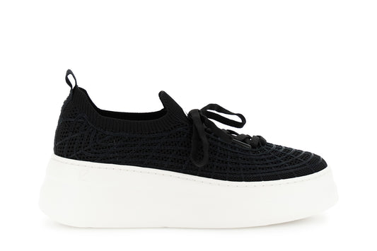 gid://shopify/Product/16122249249100_58875978613068