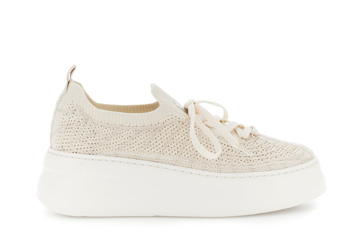 gid://shopify/Product/16122249249100_58875980742988