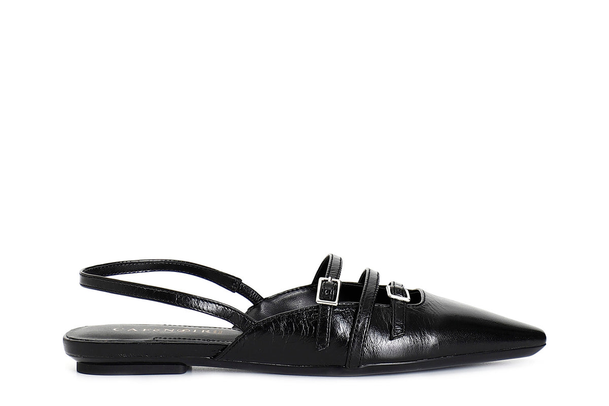 gid://shopify/Product/16121855312204_1