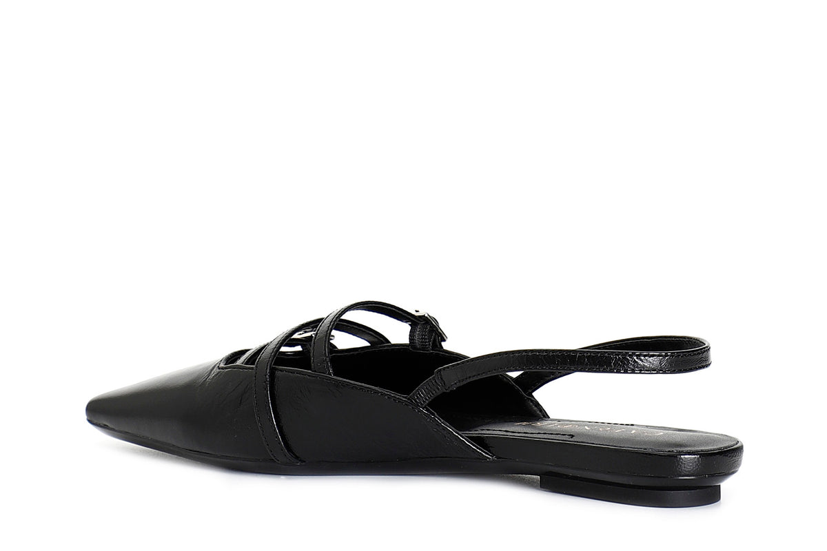 gid://shopify/Product/16121855312204_2