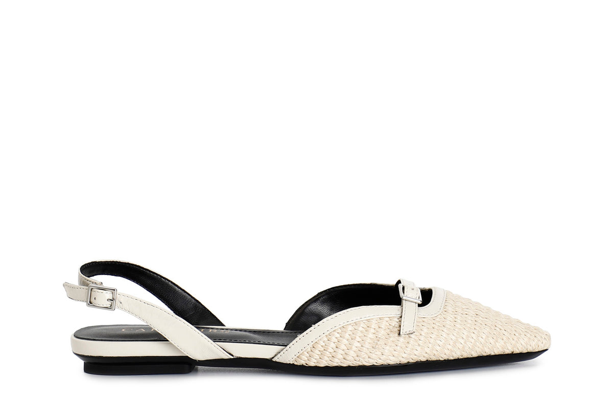gid://shopify/Product/16121863635276_58873559089484