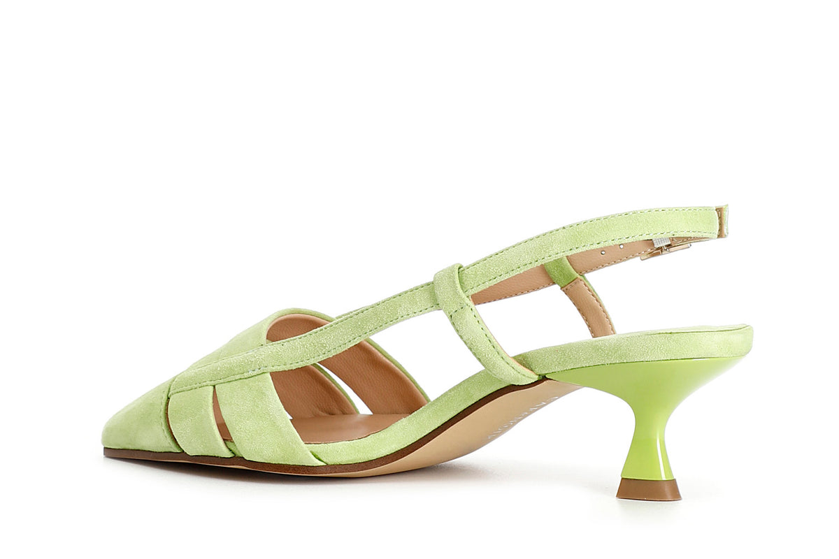 gid://shopify/Product/16121799704908_2