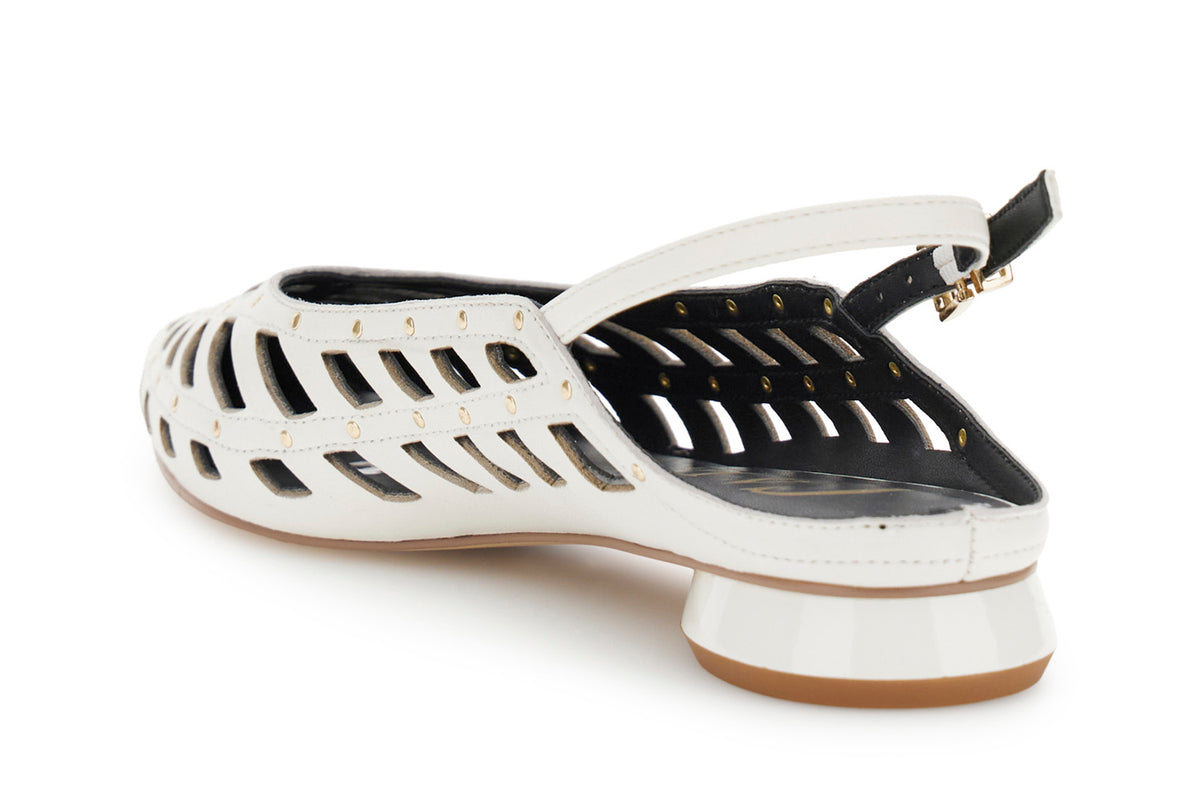 gid://shopify/Product/16122283163980_2