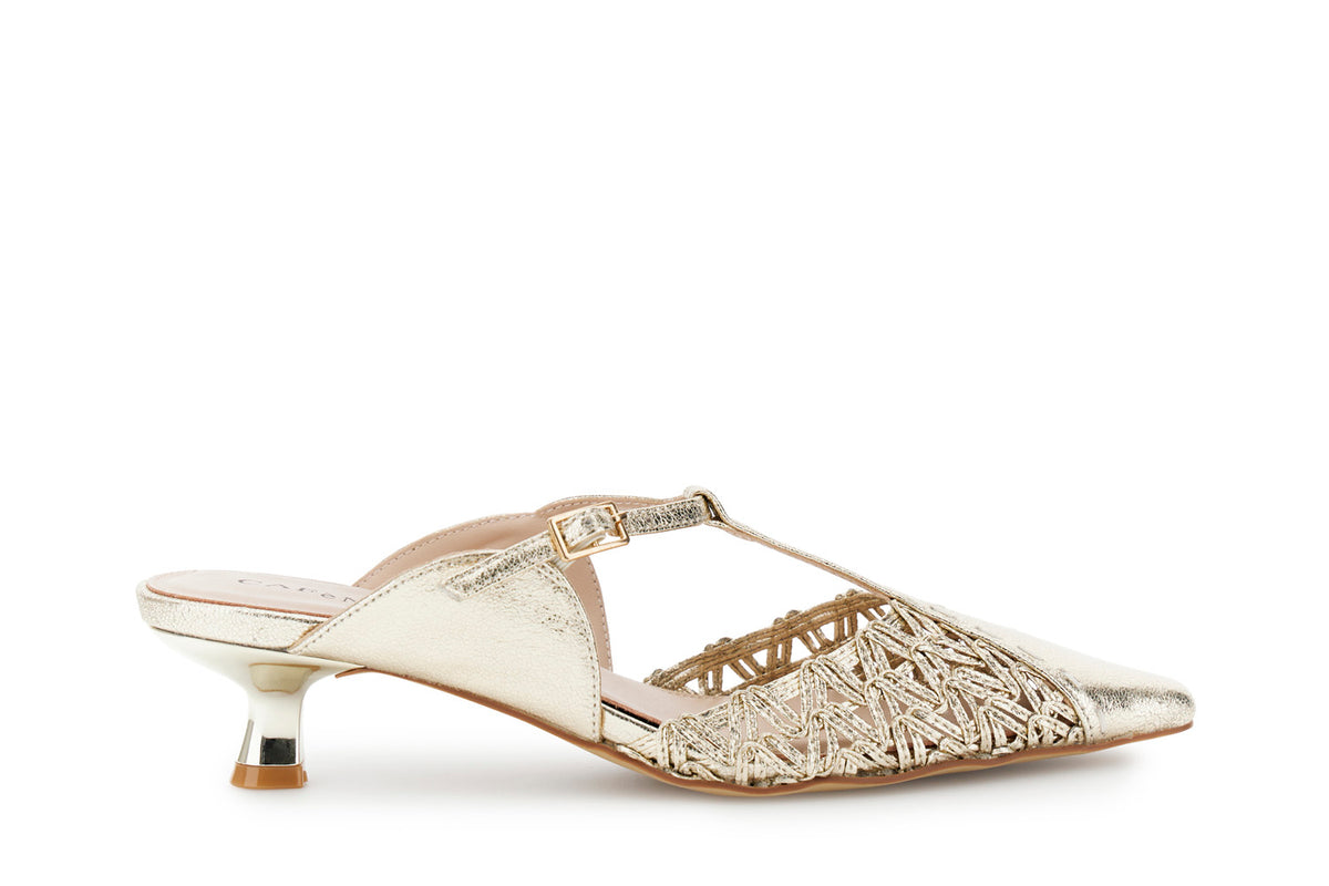gid://shopify/Product/16122303250764_58876136456524
