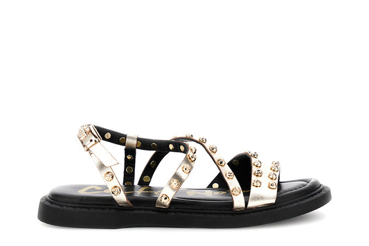 gid://shopify/Product/16176213492044_59122427396428