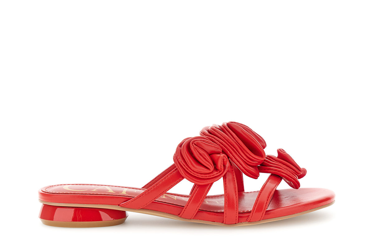 gid://shopify/Product/16122319929676_58876175679820