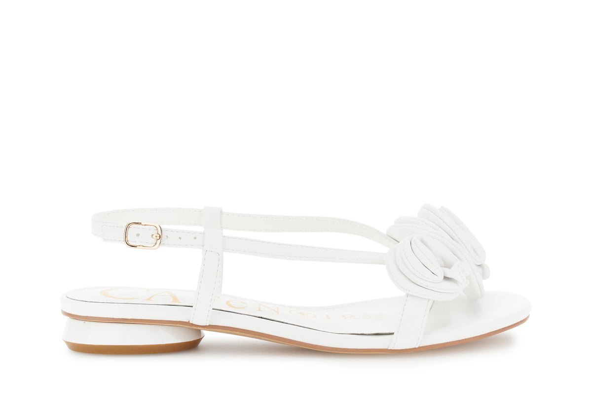 gid://shopify/Product/16122325074252_58876191179084