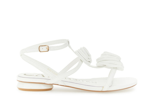 gid://shopify/Product/16176216506700_59122465014092