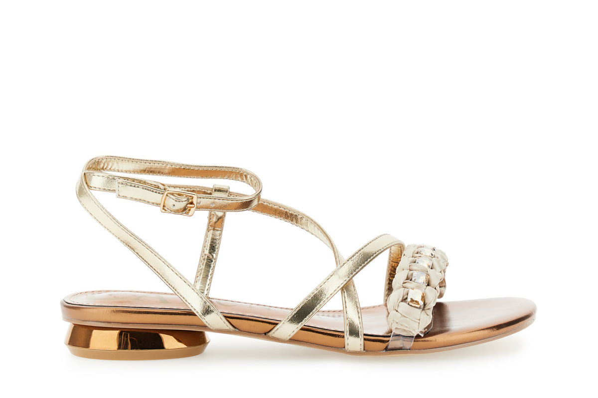 gid://shopify/Product/16122333725004_58876204712268